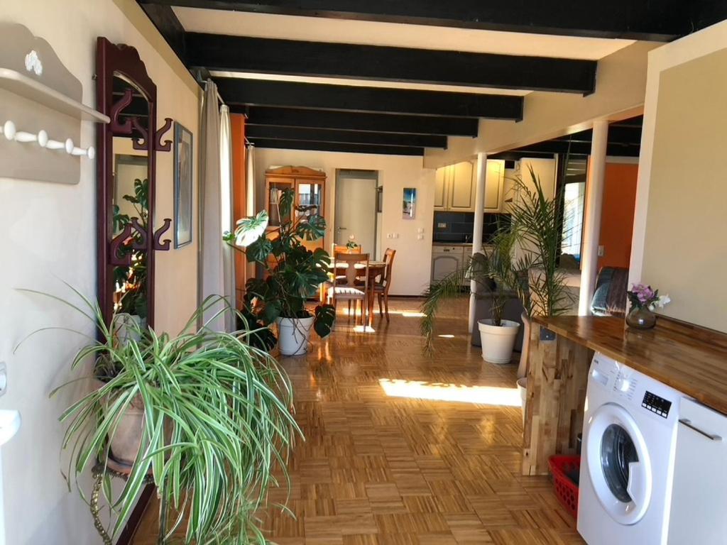 Grosse Mit Terrasse Apartment Heikendorf